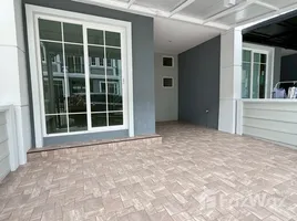 ทาวน์เฮ้าส์ 2 ห้องนอน ให้เช่า ในโครงการ โกลเด้น ทาวน์ เชียงใหม่-กาดรวมโชค , ฟ้าฮ่าม, เมืองเชียงใหม่