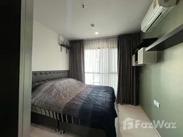 คอนโด 1 ห้องนอน ให้เช่า ในโครงการ ไลฟ์ สุขุมวิท 48, พระโขนง