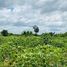  Land for sale in Cambodia, Kampong Khleang, Soutr Nikom, Siem Reap, Cambodia