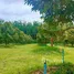  Land for sale in Ban Laeng, Rayong, Ban Laeng