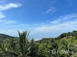 ขายที่ดิน ใน เกาะพะงัน, สุราษฎร์ธานี, เกาะพะงัน