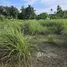 ขายที่ดิน ใน สาคู, ภูเก็ต, สาคู
