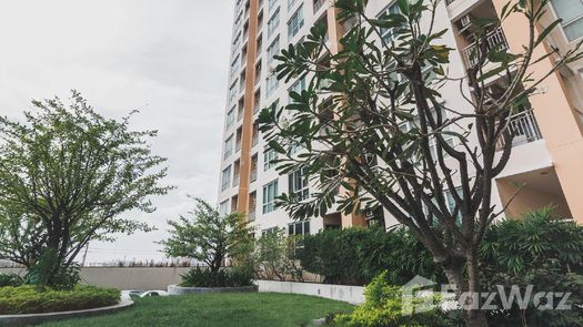 写真 1 of the Communal Garden Area at Life at Ratchada - Suthisan