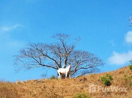  Terrain for sale in Abangares, Guanacaste, Abangares