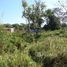  Terreno (Parcela) en venta en Fernando De Noronha, Rio Grande do Norte, Fernando De Noronha, Fernando De Noronha