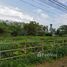  Land for sale in Si Sunthon, Thalang, Si Sunthon