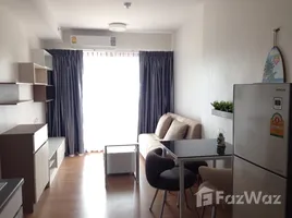 อพาร์ทเม้นท์ 1 ห้องนอน ให้เช่า ในโครงการ ศุภาลัย มาเรย์ พัทยา, เมืองพัทยา