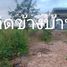  Grundstück zu verkaufen in Sak Lek, Phichit, Sak Lek, Sak Lek, Phichit