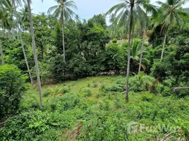 ขายที่ดิน ใน ขนอม, นครศรีธรรมราช, ขนอม, ขนอม, นครศรีธรรมราช