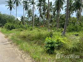 ขายที่ดิน ใน ตลิ่งงาม, สุราษฎร์ธานี, ตลิ่งงาม