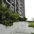 1 Bedroom Condo for rent at The Politan Rive, Bang Kraso
