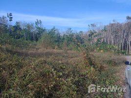 ขายที่ดิน ใน อ่าวนาง, กระบี่, อ่าวนาง