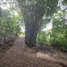  Land for sale in Perez Zeledon, San Jose, Perez Zeledon
