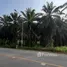  Land for sale in Krabi, Krabi Noi, Mueang Krabi, Krabi