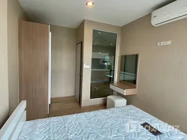 คอนโด 1 ห้องนอน ให้เช่า ในโครงการ วันพลัส เจ็ดยอด 4, ช้างเผือก, เมืองเชียงใหม่, เชียงใหม่