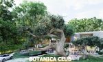 Clubhouse at Botanica Foresta