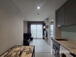 1 Bedroom Condo for rent at Rhythm Sukhumvit 36-38, Khlong Tan, Khlong Toei, Bangkok, Thailand