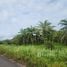  Land for sale in Thailand, Khok Kloi, Takua Thung, Phangnga, Thailand