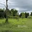  Land for sale in Kut Pong, Loei, Kut Pong, Mueang Loei, Loei