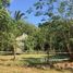  Land for sale in Compostela, Nayarit, Compostela