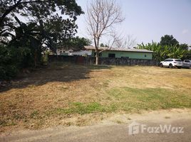 N/A Land for sale in Tha Wang Tan, Chiang Mai 800 SQM Land for Sale in Saraphi, Chiang Mai