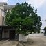 4 спален Дом на продажу в Town Plus X Ladprao, Khlong Chan, Банг Капи