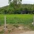 在北标出售的 土地, Pak Khao San, Mueang Saraburi, 北标