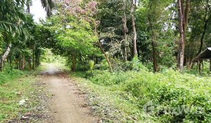 N/A Land for sale in Ko Phayam, Ranong 