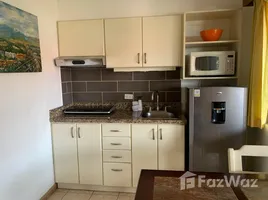1 Bedroom Apartment for rent at Mata Redonda, San Jose, San Jose, Costa Rica