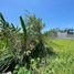  Land for sale in Bali, Kediri, Tabanan, Bali