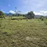  Land for sale in Perez Zeledon San Jose, Perez Zeledon