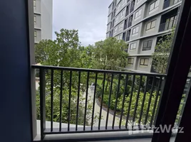 Dcondo Reef Phuket에서 임대할 1 침실 콘도, 카투, 카투, 푸켓, 태국