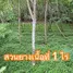  Земельный участок for sale in Taphong, Районг, Taphong, Мыанг Районг, Районг