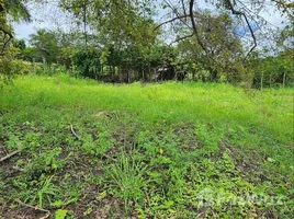 Terrain à vendre à San Felipe De Puerto Plata, Puerto Plata, San Felipe De Puerto Plata, Puerto Plata
