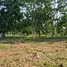  Land for sale in Thailand, Huai Sak, Mueang Chiang Rai, Chiang Rai, Thailand