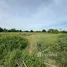 ขายที่ดิน ใน รางพิกุล, นครปฐม, รางพิกุล, กำแพงแสน