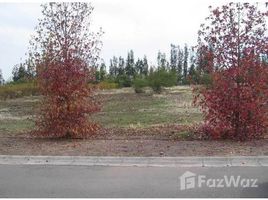  Terreno (Parcela) en venta en Colina, Colina