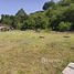 ขายที่ดิน ใน กะทู้, ภูเก็ต, กะทู้, กะทู้, ภูเก็ต