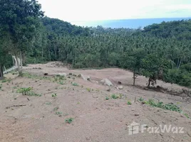 ขายที่ดิน ใน แม่น้ำ, สุราษฎร์ธานี, แม่น้ำ