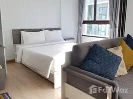 Studio Condo for sale at ZCAPE III, Wichit, Phuket Town, Phuket, Thailand