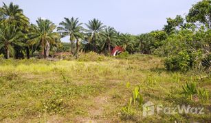 N/A Grundstück zu verkaufen in Khao Thong, Krabi 