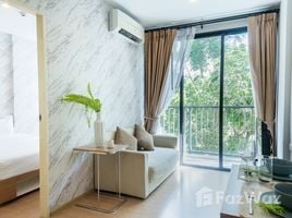 1 Bedroom Apartment for rent at Zcape X2, Choeng Thale