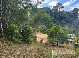 ขายที่ดิน ใน ป่าตอง, ภูเก็ต, ป่าตอง