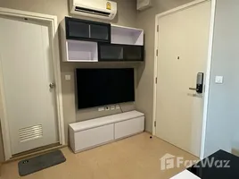 1 Bedroom Condo for rent at The Tree Sukhumvit 71-Ekamai, Suan Luang, Suan Luang, Bangkok, Thailand