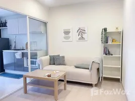 1 Bedroom Condo for rent at The Tree Sukhumvit 64, Bang Chak, Phra Khanong