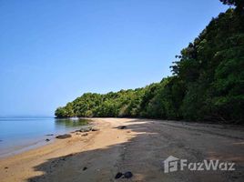  Grundstück zu verkaufen in Ko Yao, Phangnga, Ko Yao Yai, Ko Yao