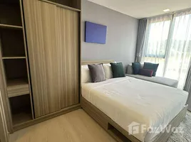 Studio Apartment for rent at The Base Rise, Wichit, Phuket Town, Phuket, Thailand