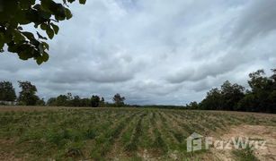 N/A Land for sale in Khok Ngam, Loei 