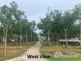 N/A Grundstück zu verkaufen in Khok Kloi, Phangnga Exceptional Development Land for Sale - Rai