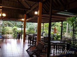  Земельный участок for sale in Khao Lak Beach, Khuek Khak, Khuek Khak